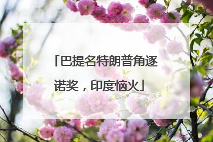 巴提名特朗普角逐诺奖，印度恼火