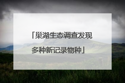 巢湖生态调查发现多种新记录物种