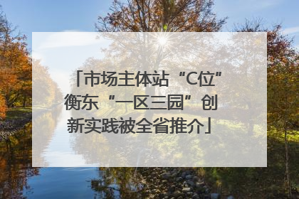 市场主体站“C位” 衡东“一区三园”创新实践被全省推介