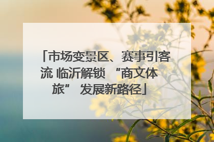 市场变景区、赛事引客流 临沂解锁 “商文体旅” 发展新路径