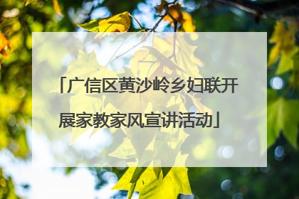 广信区黄沙岭乡妇联开展家教家风宣讲活动