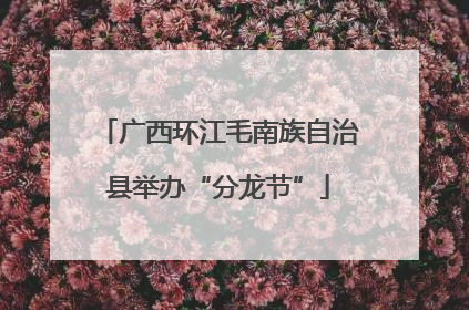 广西环江毛南族自治县举办“分龙节”