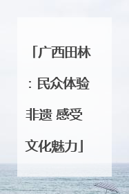 广西田林：民众体验非遗 感受文化魅力