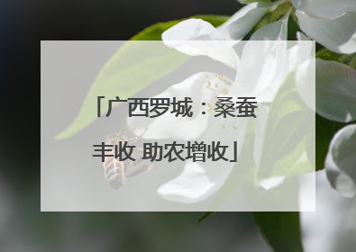 广西罗城：桑蚕丰收 助农增收