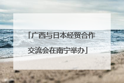 广西与日本经贸合作交流会在南宁举办