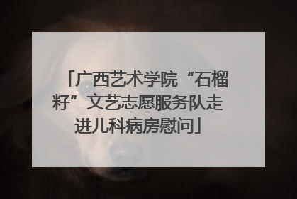 广西艺术学院“石榴籽”文艺志愿服务队走进儿科病房慰问