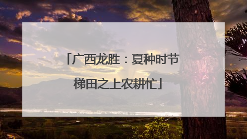 广西龙胜：夏种时节 梯田之上农耕忙