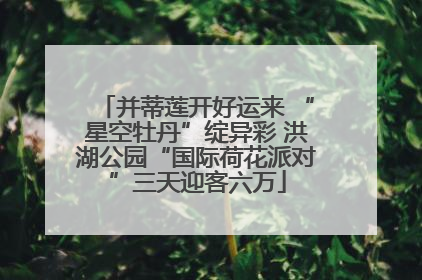 并蒂莲开好运来 “星空牡丹”绽异彩 洪湖公园“国际荷花派对”三天迎客六万