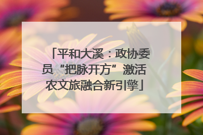 平和大溪：政协委员“把脉开方”激活农文旅融合新引擎