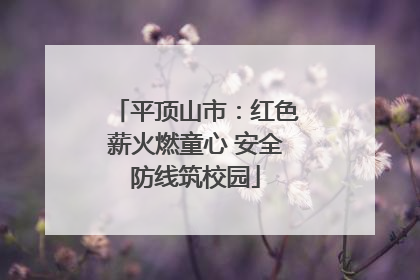 平顶山市：红色薪火燃童心 安全防线筑校园