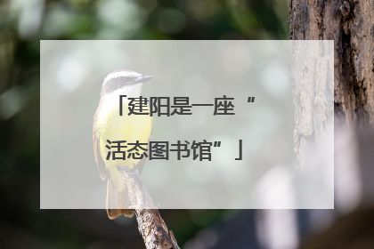 建阳是一座“活态图书馆”