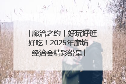 廊洽之约丨好玩好逛好吃！2025年廊坊经洽会精彩纷呈