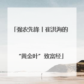 强农先锋丨崔洪海的“黄金叶”致富经