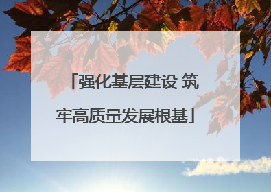 强化基层建设 筑牢高质量发展根基