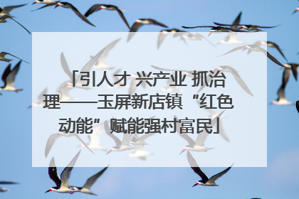 引人才 兴产业 抓治理——玉屏新店镇“红色动能”赋能强村富民