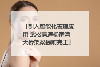 引入智能化管理应用 武松高速杨家湾大桥架梁提前完工