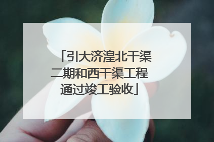 引大济湟北干渠二期和西干渠工程通过竣工验收