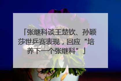 张继科谈王楚钦、孙颖莎世乒赛表现，回应“培养下一个张继科”