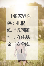张家界医保：扎根一线“找问题”，守住基金“安全线”