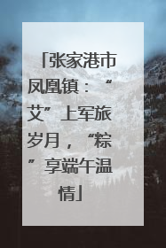 张家港市凤凰镇：“艾”上军旅岁月，“粽”享端午温情