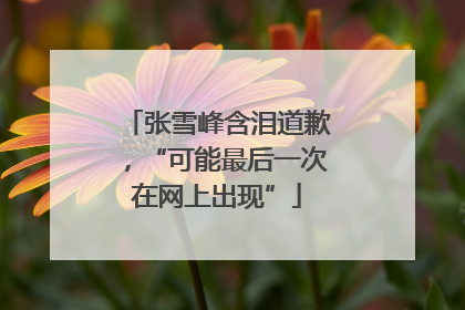 张雪峰含泪道歉，“可能最后一次在网上出现”