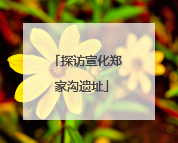 探访宣化郑家沟遗址