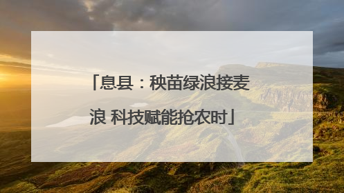 息县：秧苗绿浪接麦浪 科技赋能抢农时