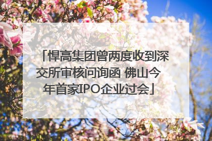 悍高集团曾两度收到深交所审核问询函 佛山今年首家IPO企业过会