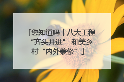 您知道吗丨八大工程“齐头并进” 和美乡村“内外兼修”