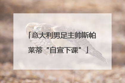 意大利男足主帅斯帕莱蒂“自宣下课”