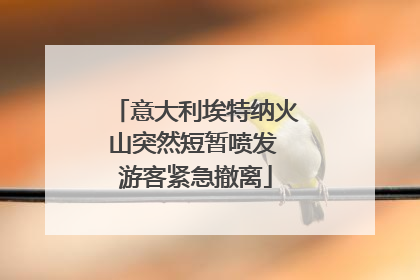 意大利埃特纳火山突然短暂喷发 游客紧急撤离