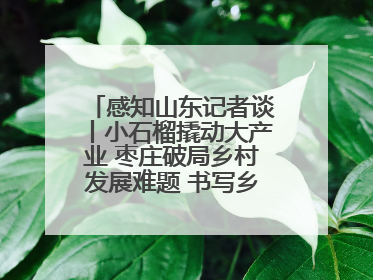 感知山东记者谈丨小石榴撬动大产业 枣庄破局乡村发展难题 书写乡村共富答卷