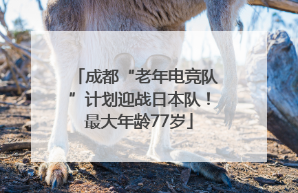 成都“老年电竞队”计划迎战日本队！最大年龄77岁