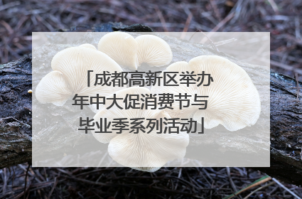 成都高新区举办年中大促消费节与毕业季系列活动