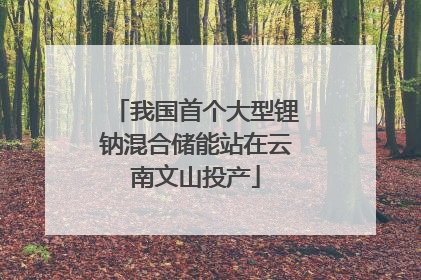 我国首个大型锂钠混合储能站在云南文山投产