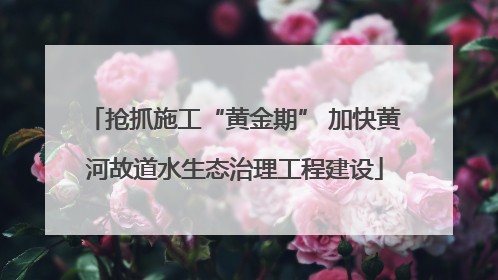 抢抓施工“黄金期” 加快黄河故道水生态治理工程建设
