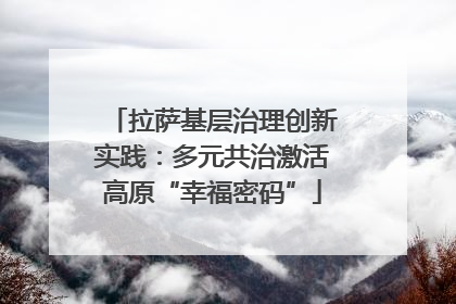 拉萨基层治理创新实践：多元共治激活高原“幸福密码”