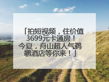 拍短视频，住价值3699元卡通房！今夏，舟山超人气鹈鹕酒店等你来！