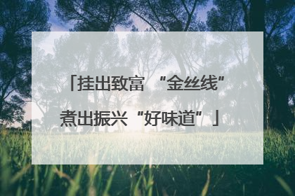 挂出致富 “金丝线” 煮出振兴“好味道”