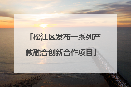 松江区发布一系列产教融合创新合作项目