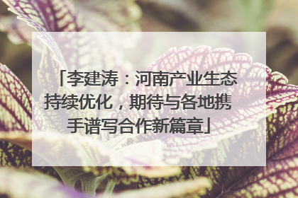 李建涛：河南产业生态持续优化，期待与各地携手谱写合作新篇章