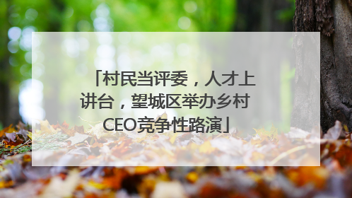 村民当评委，人才上讲台，望城区举办乡村CEO竞争性路演