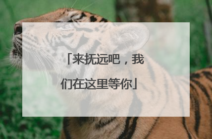 来抚远吧，我们在这里等你