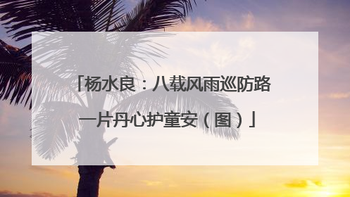 杨水良：八载风雨巡防路 一片丹心护童安（图）