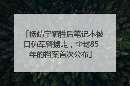 杨靖宇牺牲后笔记本被日伪军警掳走，尘封85年的档案首次公布