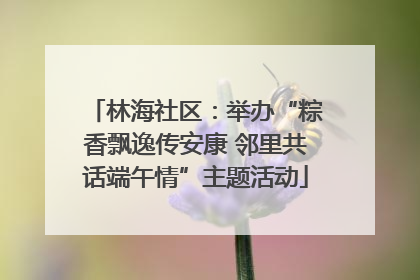 林海社区：举办“粽香飘逸传安康 邻里共话端午情”主题活动