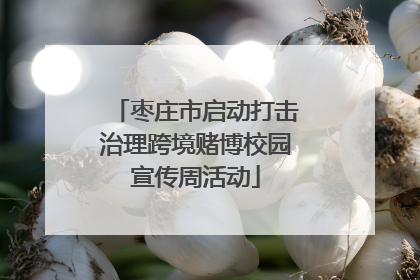 枣庄市启动打击治理跨境赌博校园宣传周活动