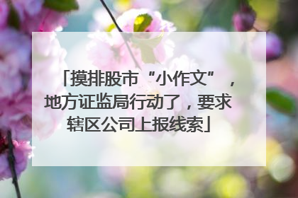 摸排股市“小作文”，地方证监局行动了，要求辖区公司上报线索