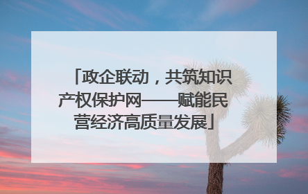 政企联动，共筑知识产权保护网——赋能民营经济高质量发展