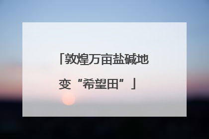 敦煌万亩盐碱地变“希望田”